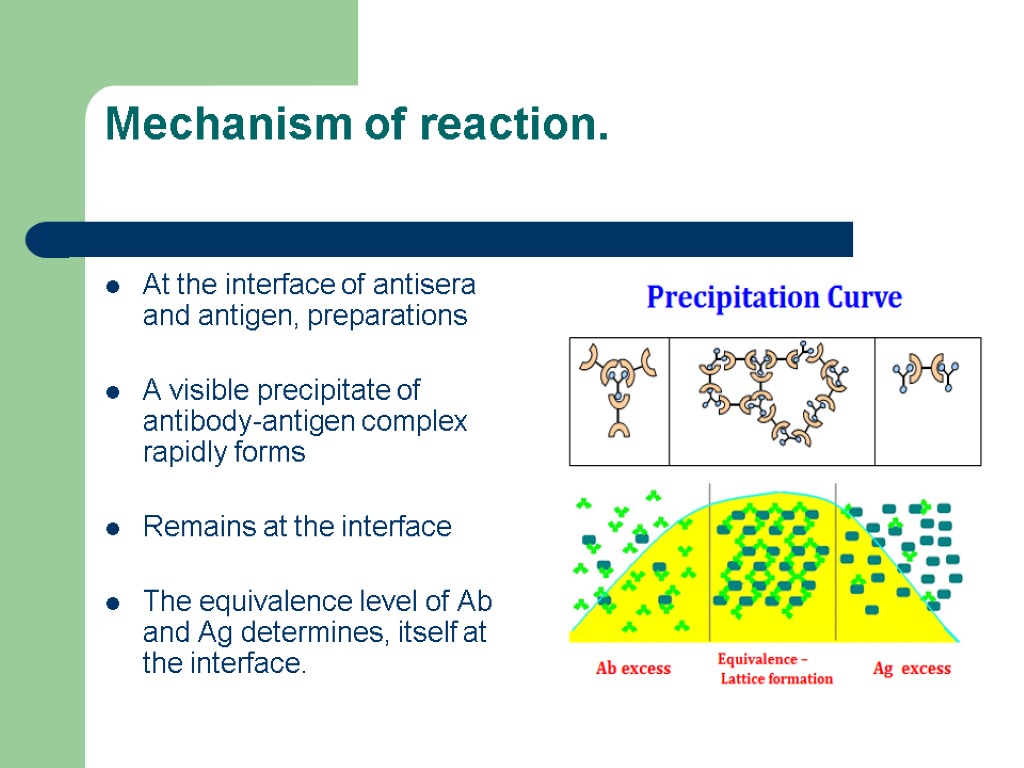 Mechanism of reaction. At the interface of antisera and antigen, preparations А visible precipitate